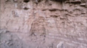 ?Продолжение с процесса добычи глины "Медовый Корешок " на идеальном месте залегания 06.08.2022