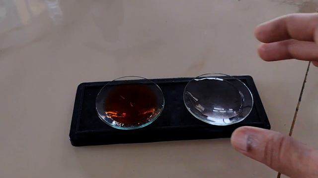 Mitosis in Onion Root Tip 12th class biology 11th class biology Compound microscope  Practical