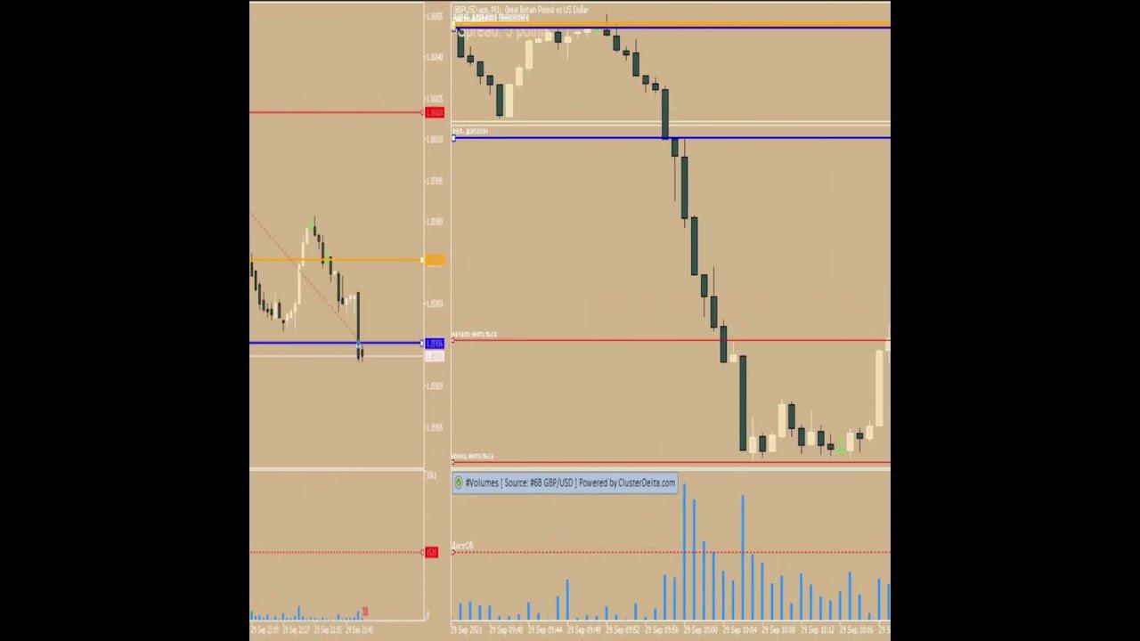 Трейдинг  Сделки, результаты трейдеров Mercantilist Trade 1 #shorts