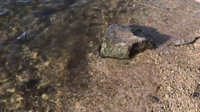 #26 Стерлядь в Самарке на фидер смотреть онлайн