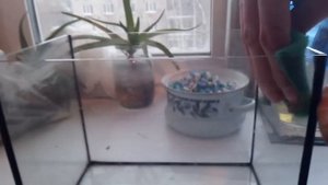 Как быстро убрать налёт на аквариуме