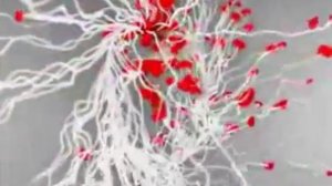 Песня ПОКА ТЫ СПИШЬ...