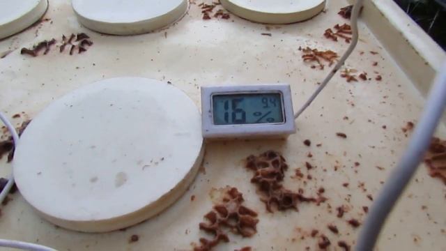 устанавливаю в октябре, измерительные приборы в семьи пчел, для подбора лучших условий зимовки смотреть онлайн