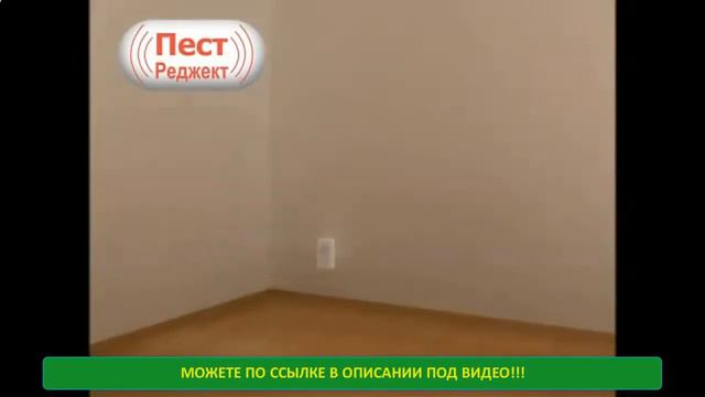 ОТПУГИВАТЕЛЬ ГРЫЗУНОВ И НАСЕКОМЫХ PEST смотреть онлайн