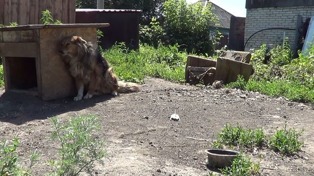 Просила, прошу и буду просить . смотреть онлайн