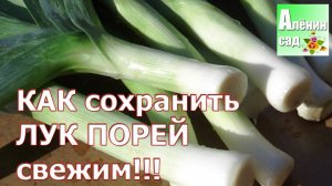 ЛУК-ПОРЕЙ Как сохранить СВЕЖИМ в холодильнике?