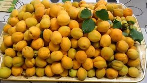 Абрикосы(жердель) поспевают.