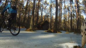 Приморск,,Финский залив, природа велосипед !