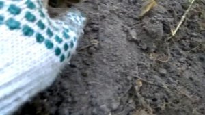 СЕРЕБРО ЗОЛОТОЙ ОРДЫ И НЕ ТОЛЬКО. МЕТАЛЛОИСКАТЕЛЬ КВАЗАР АРМ