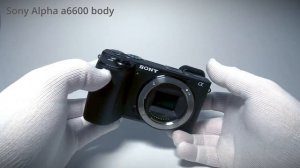Sony Alpha 6600 APS-C