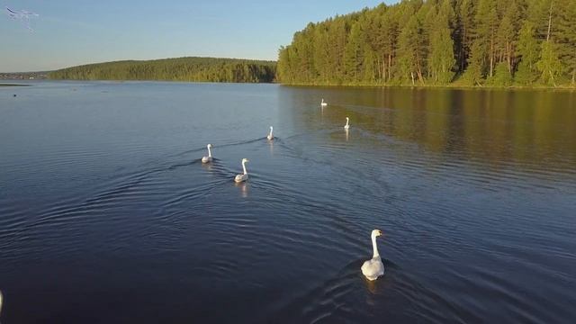 Летний досуг на Нижнетуринском пруду смотреть онлайн