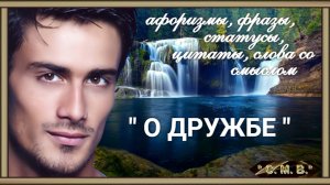 "О ДРУЖБЕ" - афоризмы, фразы, статусы, цитаты, слова со смыслом. (музыкальное видео)