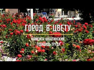 ГОРОД В ЦВЕТУ. Июнь 2021. Каменск-Шахтинский Площадь Труда Городские зарисовки ВИДЕО: Арон Моисеевич