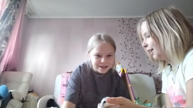 как я подарила подруге хомяка