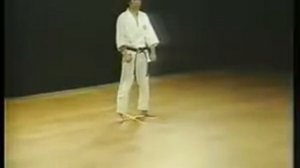 Хейан Годан