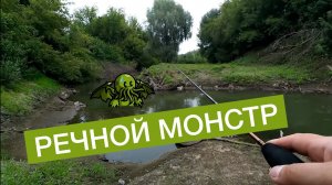 Рыба С ПОЛОВИНУ СПИННИНГА в мелкой городской речушке. На палку ДО 2.5 ГРАММ! Сергей Райков