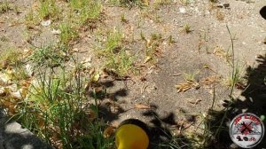 Portable Water Pump | 5.5L/min | 130psi | 12v | 80w Test and overview.