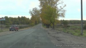 Дорога на паромную переправу в п.Красное-на-Волге