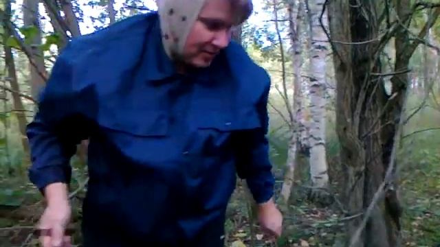 Как новички грибы собирают.... смотреть онлайн