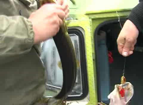 Рыбалка с Хивуса , палуба - это круто смотреть онлайн