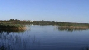 vatravel.ru Азатское озеро в Белозерском районе Вологодской области