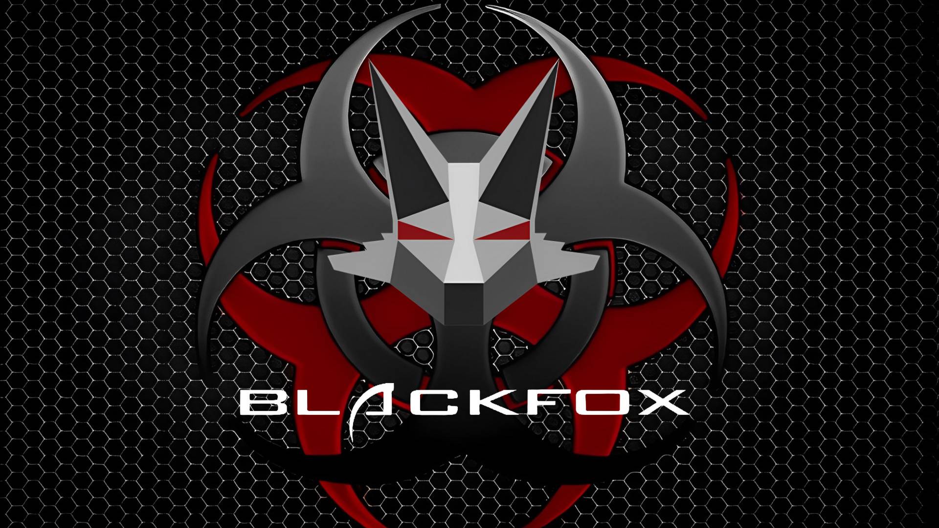 StalkerOnline_STAY OUT_ BlackFoX _Мы вернулись