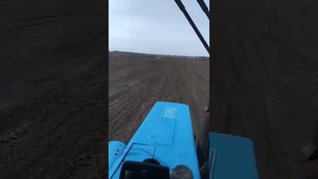 Разбрасывание удобрения МТЗ-82.1 смотреть онлайн