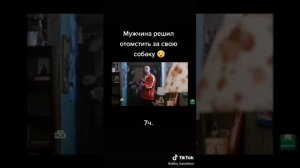 Мужчина решил отомстить за свою собаку