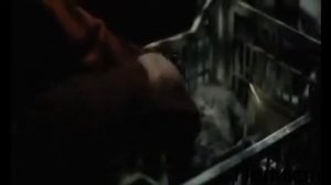 5 трогающих фильмов про животных (Часть 2)