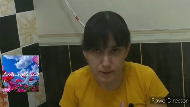 слизни. способы борьбы