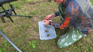 Карпфишинг. Флэт метод. Матвеево озеро . Учусь ловить карпа.