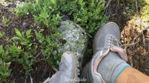 Поход в горы, в штате Вашингтон | Путешествие по США #путешествиепоамерике