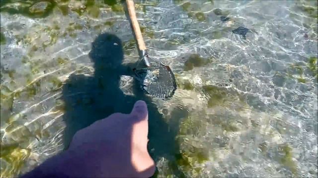 Фортуна улыбнулась! Самый удачный выход на пляж в 2020 году! Золото + Серебро! смотреть онлайн