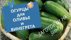 Что делать с некондиционными Огурцами Заготовка для _Оливье_ на зиму