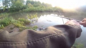 Поимка - 86 кг. африканского сома , на какой монтаж клевал лучше донный или поплавочный.