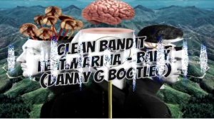 Clean Bandit - Baby (feat. Marina) (Danny G Bootleg)