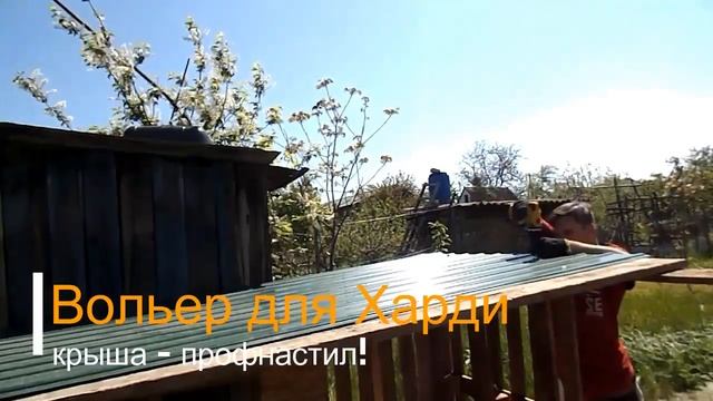 Вольер для Харди из поддонов своими руками за копейки. #своимируками #поделкаизподдонов смотреть онлайн