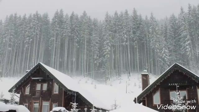 Пока мы живы ??.#Т96 ,#Харьков #любовь, #люди #жизнь #Украина #kharkiv смотреть онлайн