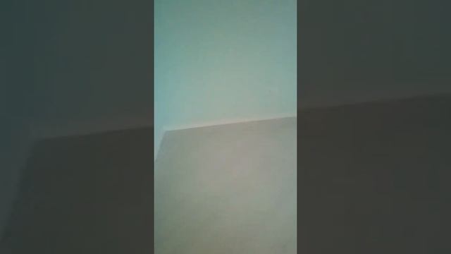 Натяжные потолки СПб Ремонт Квартир -9202059 смотреть онлайн