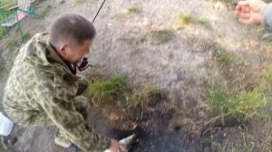 Рыбалка Ловля КАРПА. Карп на стаканчики. Рыбалка на Карпа в ЖАРУ.