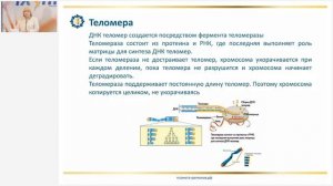 Лузгинова С.В. «КФС №15 «СВЕТ ЖИЗНИ» и омоложение» 01.04.22