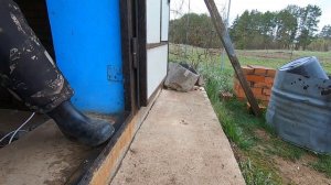 Перестал заводиться культиватор МК-100. Чистка карбюратора.