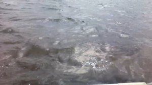 Лодка Badger ( Баджер ) 360, мотор HDX 5,8