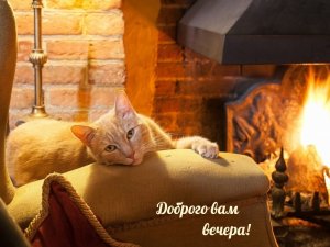 Желаю Вам доброго вечера, отличного настроения, пусть погода радует Вас