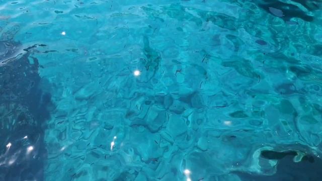 Avatar 2 Way of Water Music - Pandora at Night (Bioluminescence, Forest Sounds and Occasional Rain) смотреть онлайн