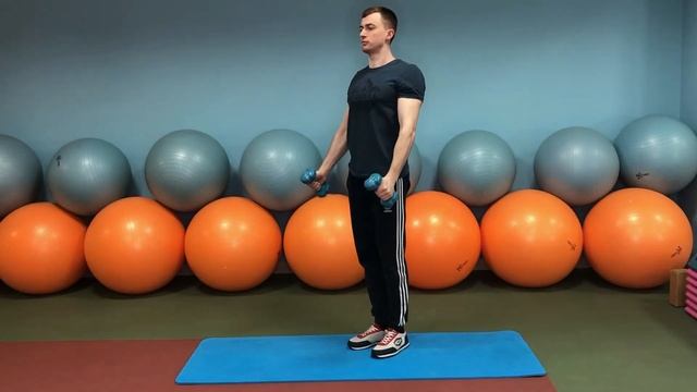 Подъем гантелей перед собой молоты. Тренировки дома. DoubleFit