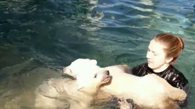 ГЕЛЕНДЖИК 2021 БЕЛЫЕ МЕДВЕЖАТА САФАРИ-ПАРК смотреть онлайн