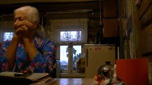 «На опушке леса старый дуб стоит…» (д. Голики Даниловского р-на Ярославской обл.)