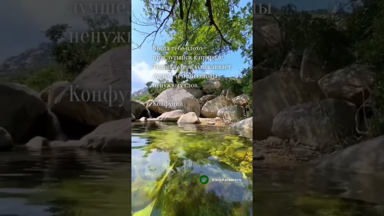 Ставь ❤️ чтобы чаще видеть такую красоту вживую! #травыкавказа