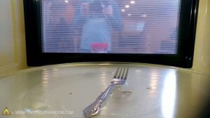What Does Metal REALLY Do In A Microwave?